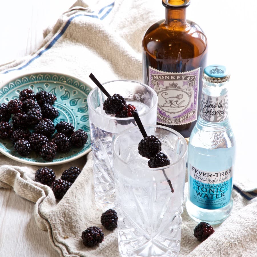 Cover Image for Meet your match – Gin pairings