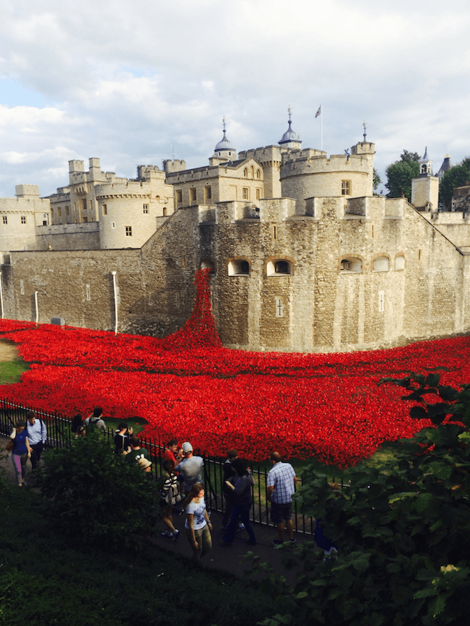 Cover Image for Bristol Poppy Day free wine offer