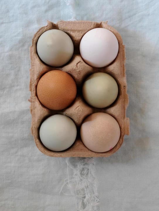 Cover Image for null