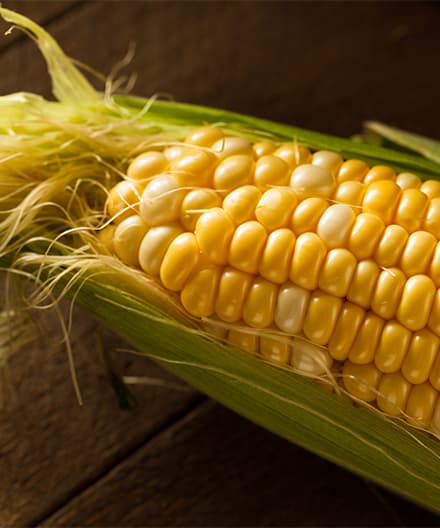 Cover Image for Seasonal Sweetcorn Chowder