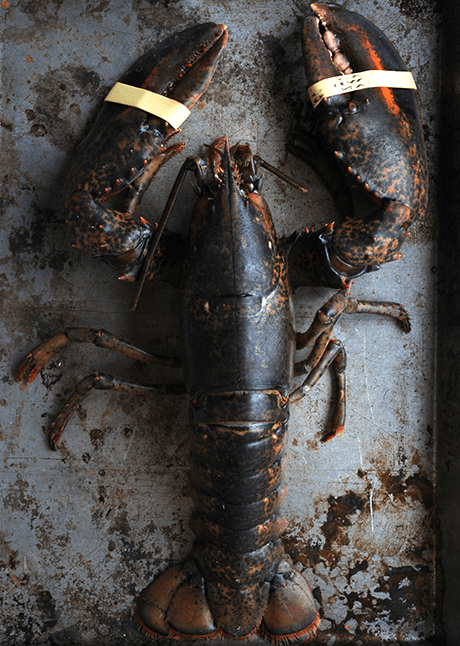 Cover Image for Food Thought of the Week – Are you an adventurous eater?