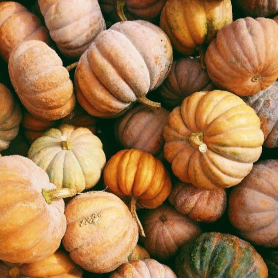 Cover Image for Flavour-filled autumn pumpkin recipes