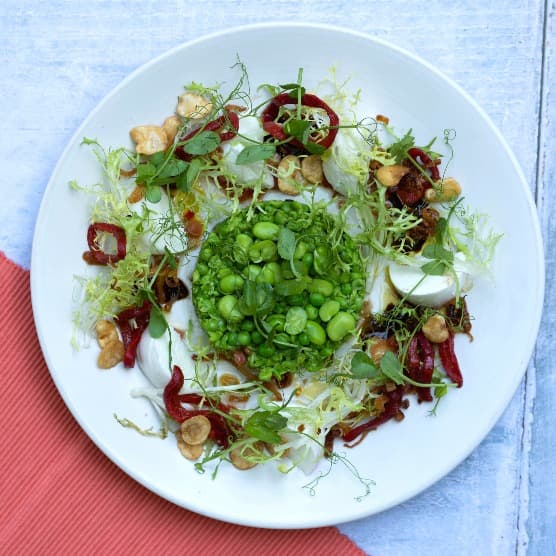 Cover Image for Pea, Broad Bean, Red Pepper & Buffalo Mozzarella Salad Recipe