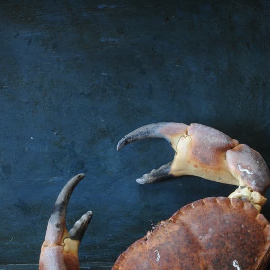 Cover Image for Sustainable Seafood at BB