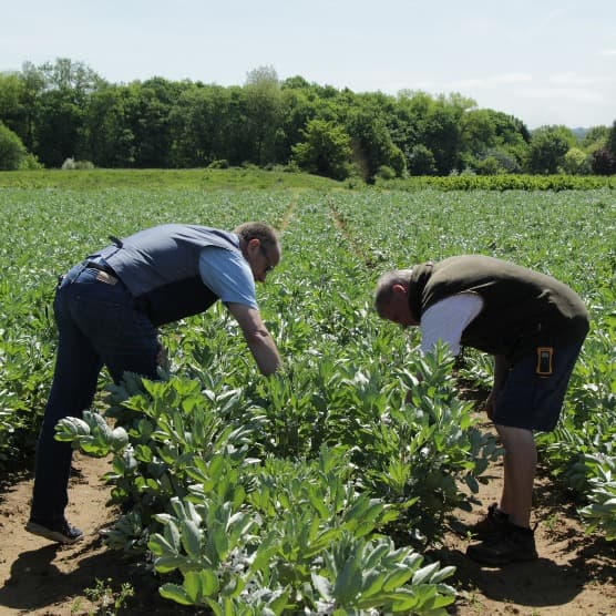 Cover Image for Our day at Secretts Farm