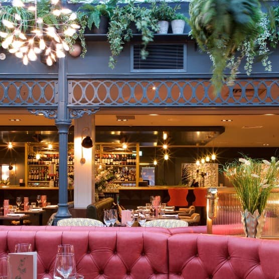 Cover Image for Brasserie Blanc Hale Barns opens soon!