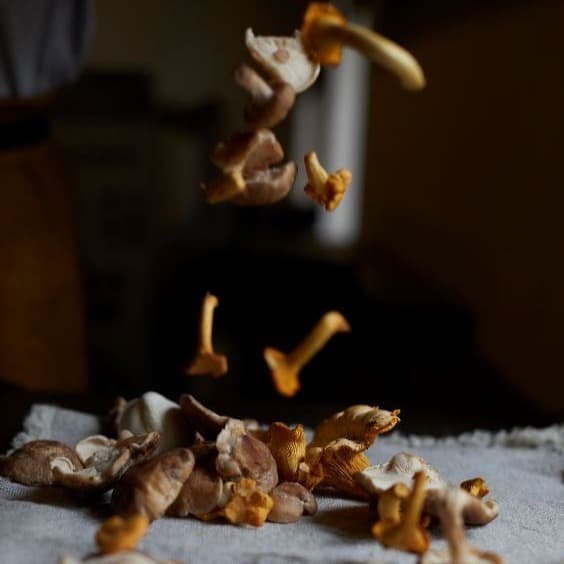 Cover Image for New menu coming soon!