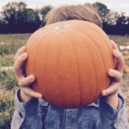 Cover Image for Halloween Fun – Pick a pumpkin or two