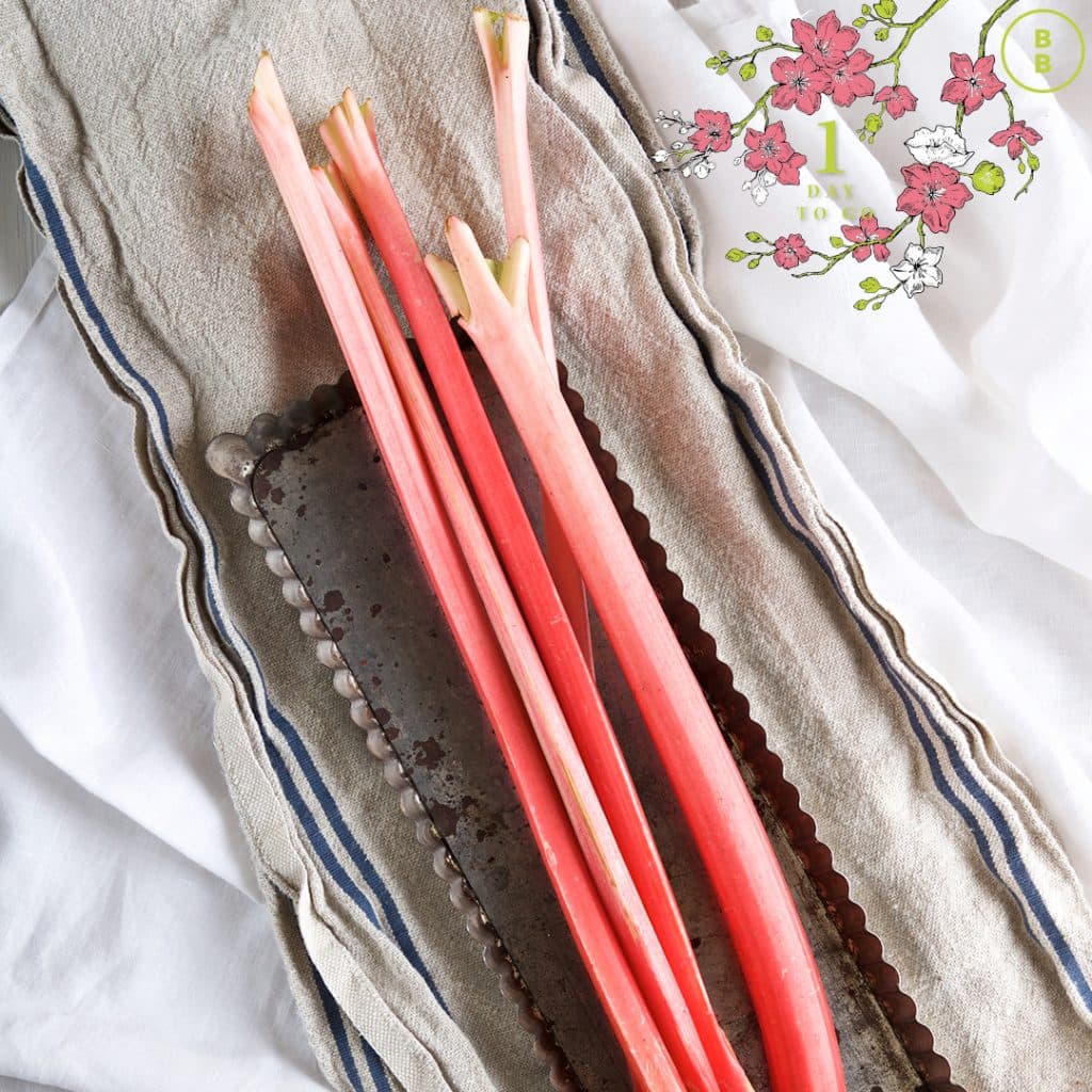 Cover Image for 1 day to go – Raymond’s seasonal favourites