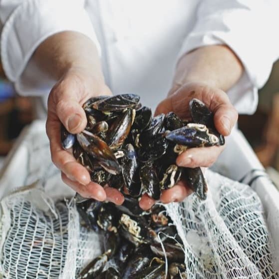 Cover Image for Sustainability matters