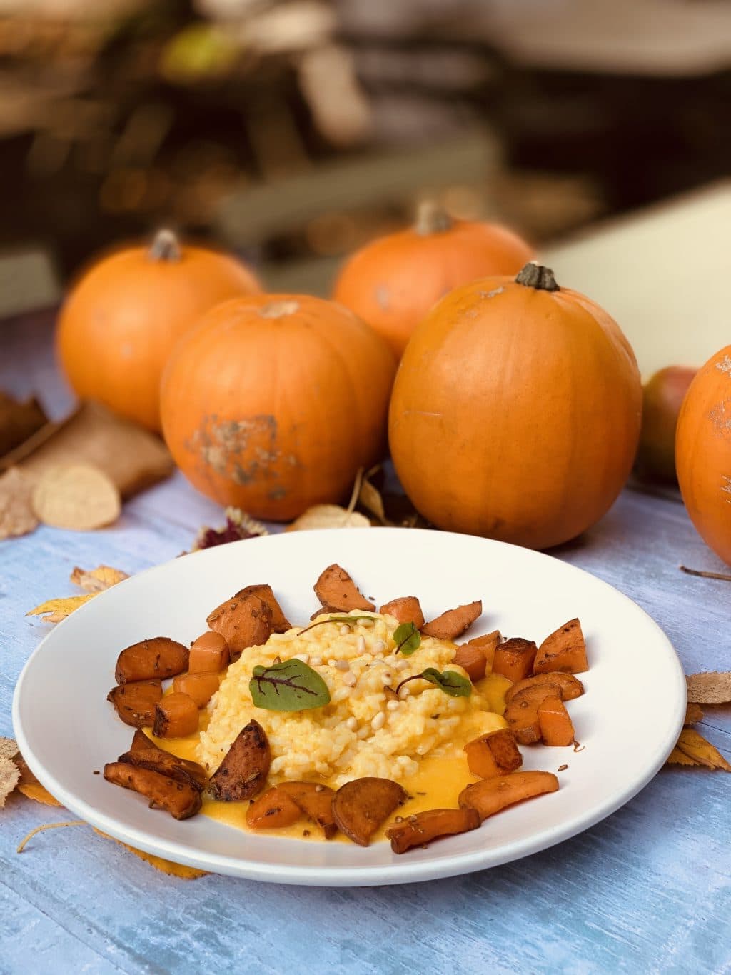 Cover Image for World Vegan Day & our autumnal shoot