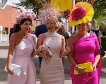 Cover Image for Complimentary fizz on Ladies Day, Glorious Goodwood
