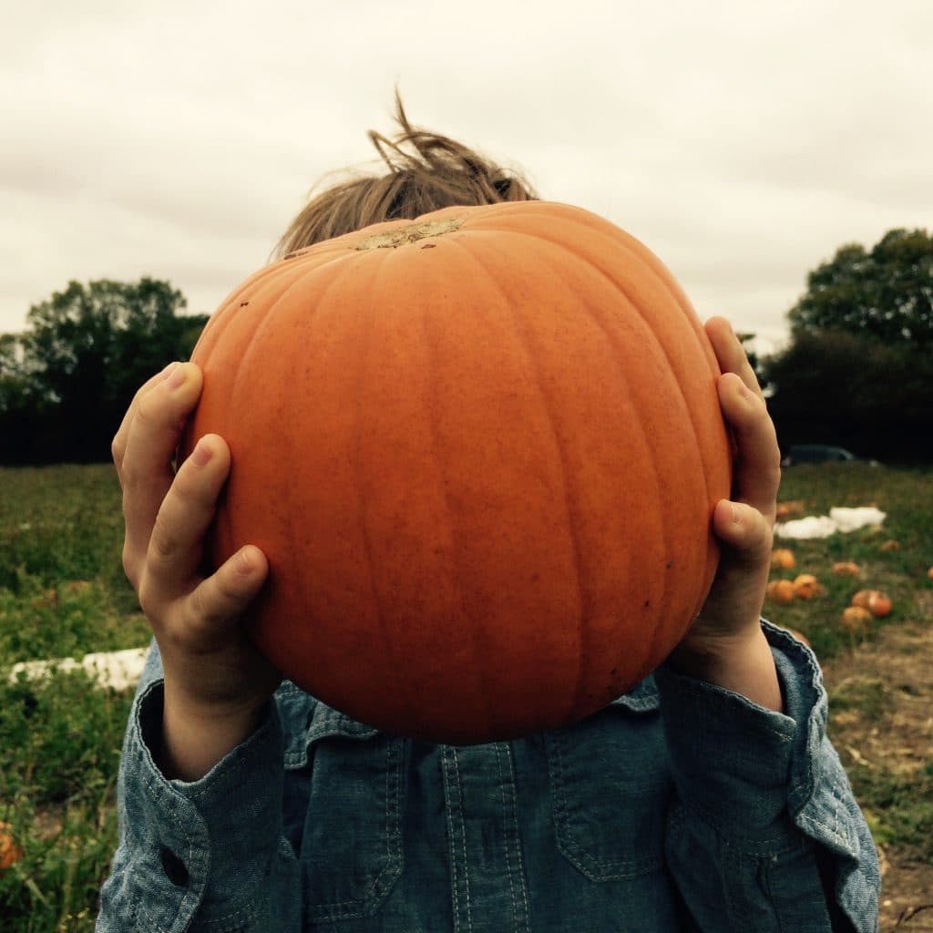 Cover Image for It’s spooky season at BB!