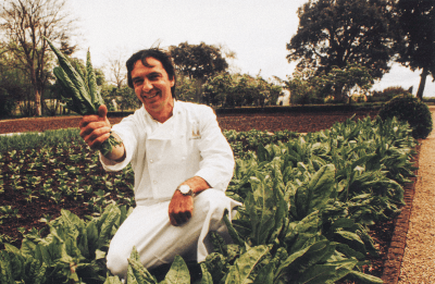 RB in Organic Vegetable Garden