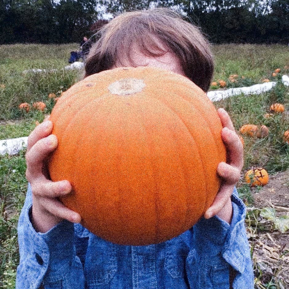 Cover Image for Pumpkin Carving & Crafts at Brasserie Blanc Leeds